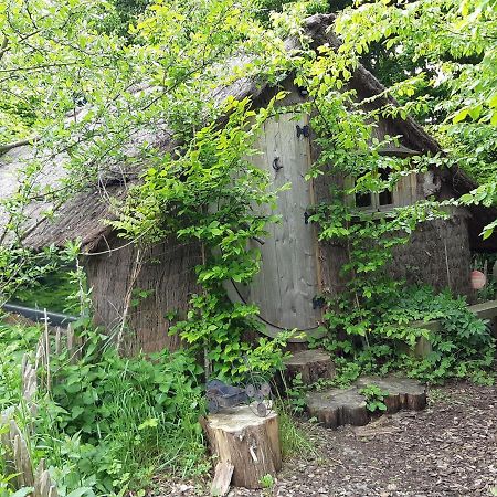 Cabane D'Augustin Saint-Augustin  Ngoại thất bức ảnh