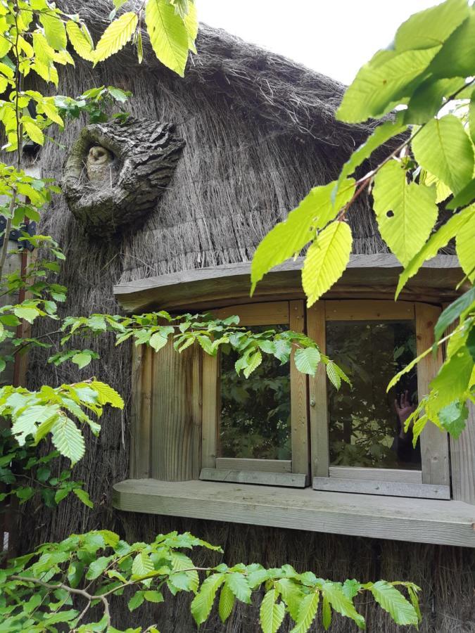 Cabane D'Augustin Saint-Augustin  Ngoại thất bức ảnh