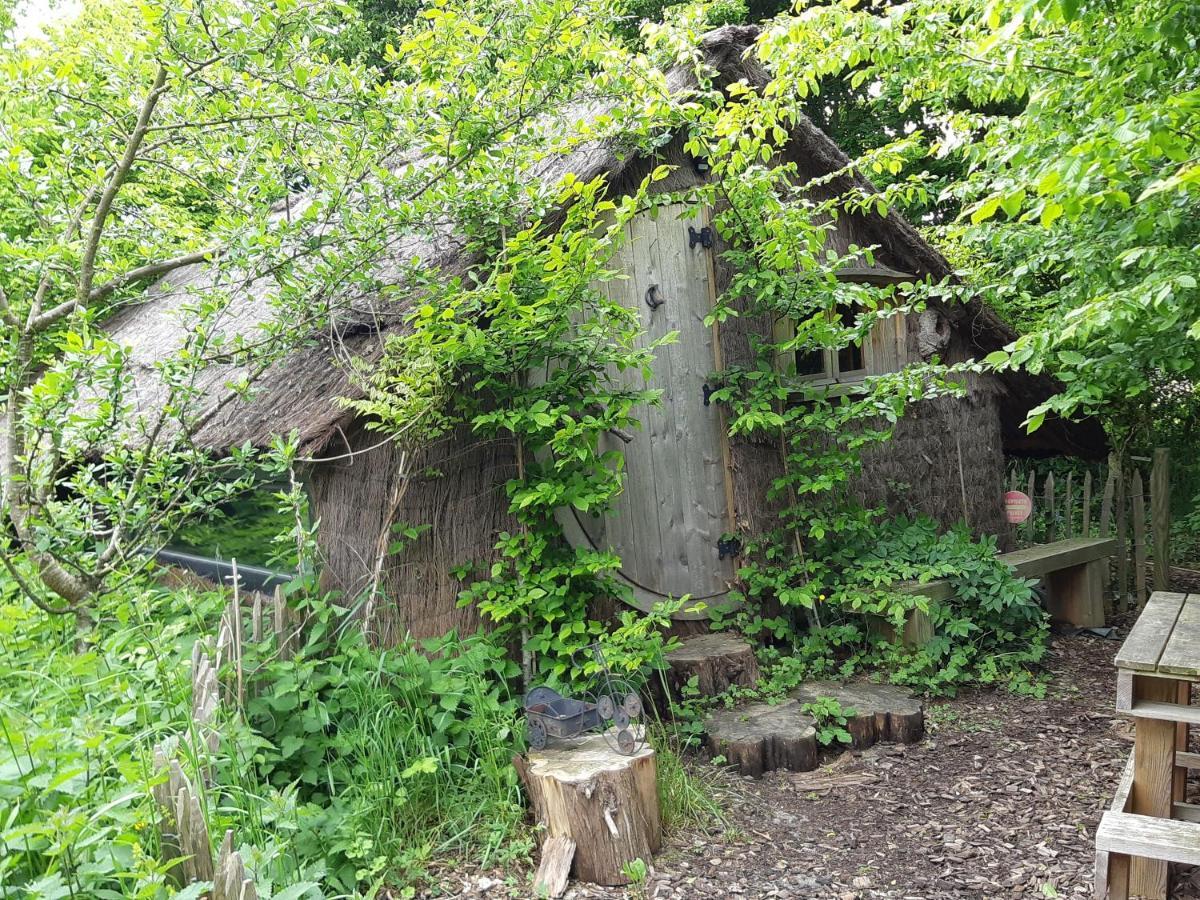 Cabane D'Augustin Saint-Augustin  Ngoại thất bức ảnh